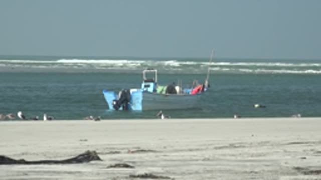 LA BOCANA BCS MEXICO-2022: Small Boat and Seagulls on Sandy Shore