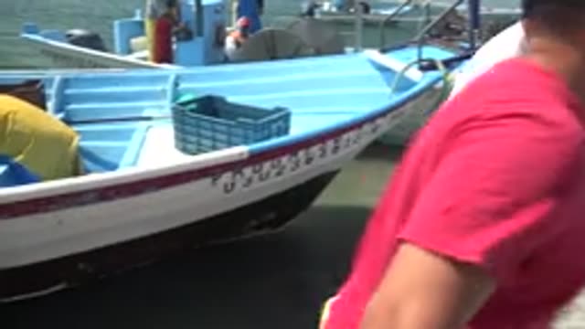 LA BOCANA BCS MEXICO-2022: People Unloading Crabs From Boat to Truck