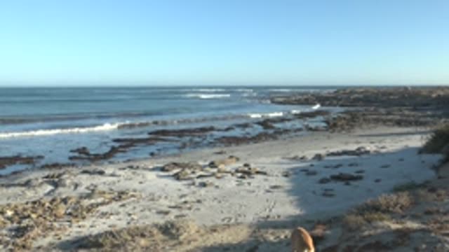 LA BOCANA BCS MEXICO-2022: Ocean Waves Rolling Onto Sandy Shore