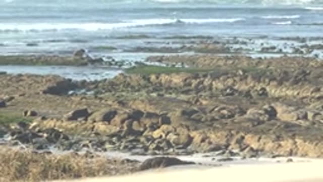 LA BOCANA BCS MEXICO-2022: Waves Rolling Over Rocky Shore with Foreground Railing