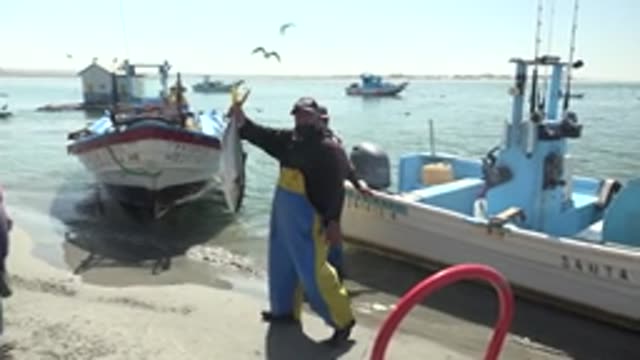 LA BOCANA BCS MEXICO-2022: Fishermen Displaying Catch on Sandy Shore