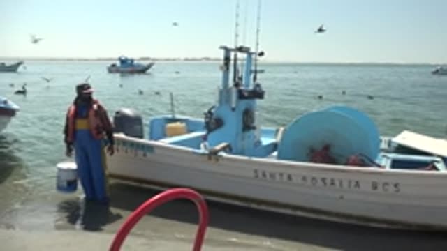 LA BOCANA BCS MEXICO-2022: Fishing Boat Departing From Shore with Crew