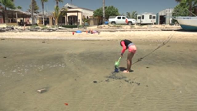 SAN CARLOS BCS MEXICO-2022: Girl Digging in Sand with Green Shovel on Beach