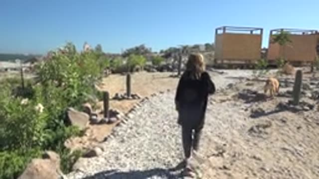 SAN JUANICO BCS MEXICO-2022: Woman Walking on a Gravel Path in a Desert Garden