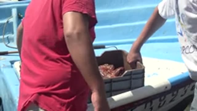 LA BOCANA BCS MEXICO-2022: Two Men Carrying Seafood Crate From Boat to Beach