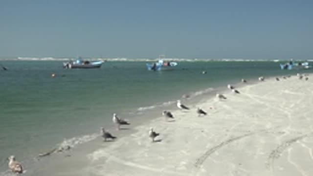 LA BOCANA BCS MEXICO-2022: Seagulls and Boats on a Sandy Shore