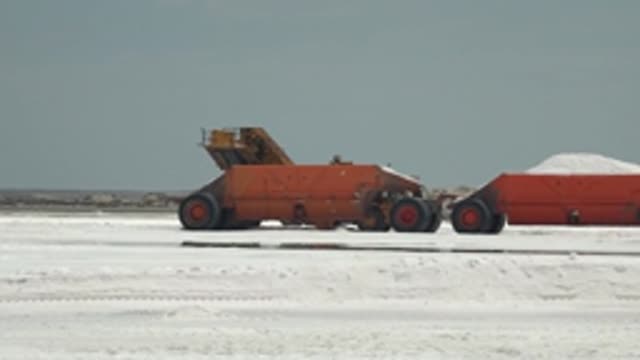 GUERRERO NEGRO BCS MEXICO-2022: Red Hauler Transporting White Material on Flat Terrain
