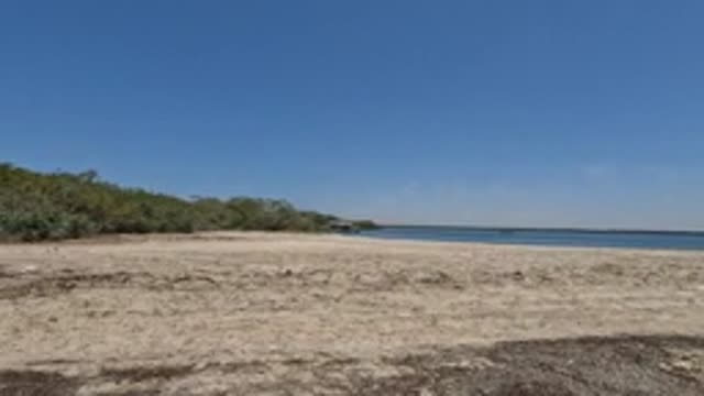 BAJA CALIFORNIA MEXICO-2022: Camera Moving Along Sandy Beach Toward Coastal Bushes