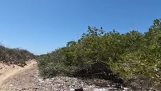 BAJA CALIFORNIA MEXICO-2022: Dirt Road with Litter and Bushes