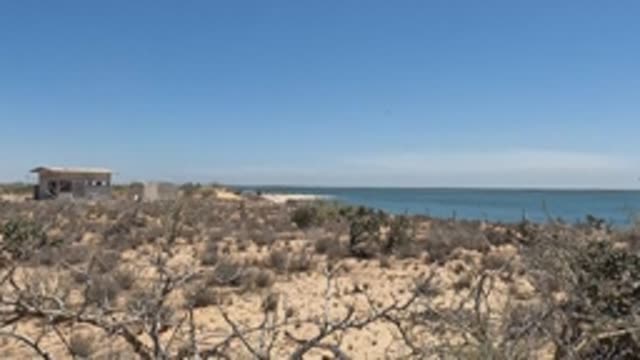 BAJA CALIFORNIA MEXICO-2022: Coastal Desert with Small Structure and Ocean View