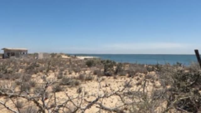 BAJA CALIFORNIA MEXICO-2022: Coastal Desert with Sparse Vegetation and Ocean View