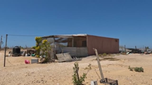 BAJA CALIFORNIA MEXICO-2022: Dog Walking Past a Desert Shack