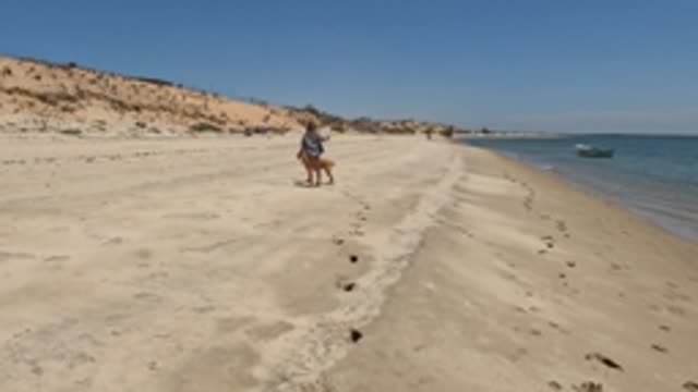 BAJA CALIFORNIA MEXICO-2022: Person Walking Dog on Sandy Beach