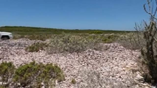 BAJA CALIFORNIA MEXICO-2022: White Pickup Truck Driving Through Rocky Desert Terrain