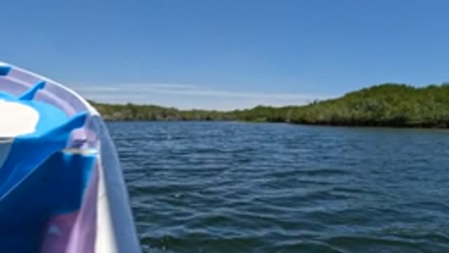 BAJA CALIFORNIA MEXICO-2022: Boat Gliding on Calm Water Near Forested Shore