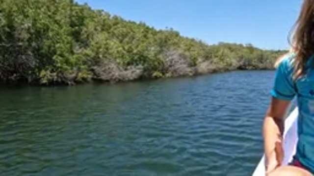 BAJA CALIFORNIA MEXICO-2022: Child Waving From a Boat on a River