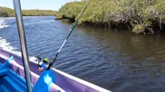 BAJA CALIFORNIA MEXICO-2022: Boat Navigating Waterway with Fishing Rod