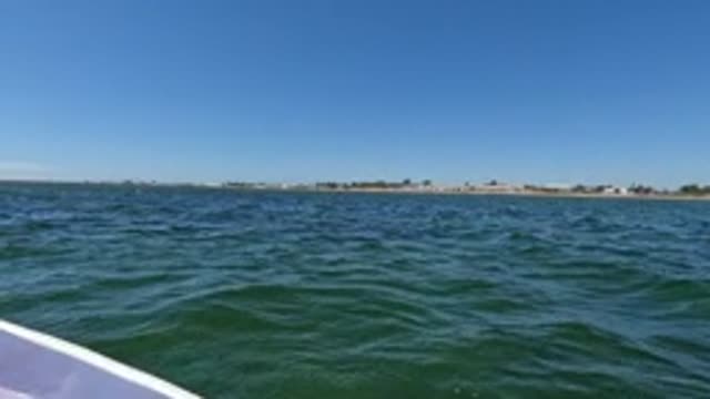 BAJA CALIFORNIA MEXICO-2022: Boat View of Calm Ocean and Distant Shoreline