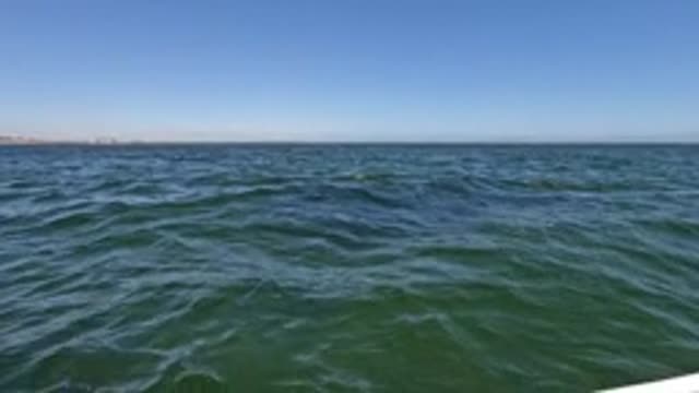BAJA CALIFORNIA MEXICO-2022: Boat Moving Toward Shore on Calm Ocean