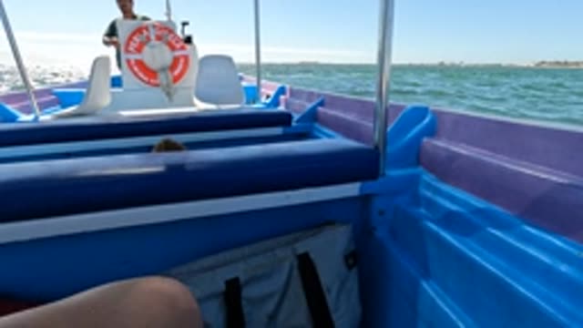 BAJA CALIFORNIA MEXICO-2022: Person Steering a Small Boat on Calm Ocean Waters