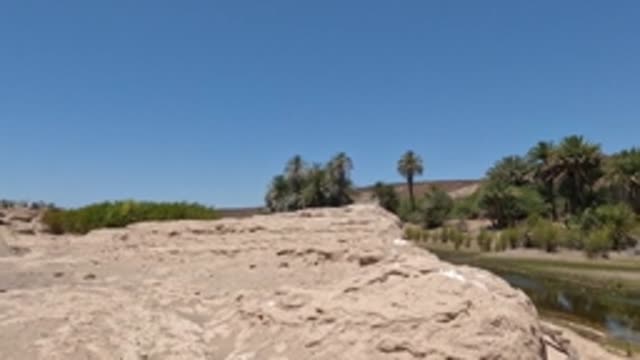 BAJA CALIFORNIA MEXICO-2022: Desert River with Palm Trees and Rocky Banks