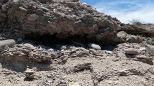 BAJA CALIFORNIA MEXICO-2022: Dog Approaching Rocky Overhang in Arid Terrain