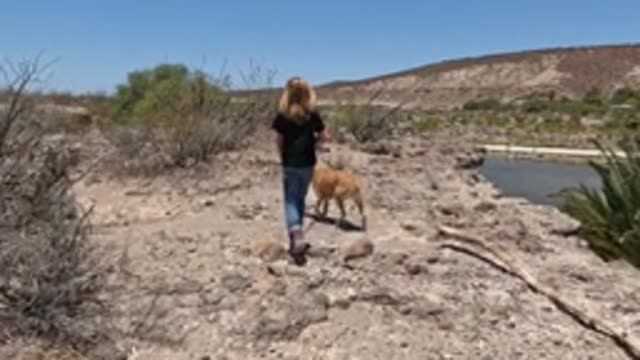 BAJA CALIFORNIA MEXICO-2022: Girl and Dog Walking on a Rocky Desert Path