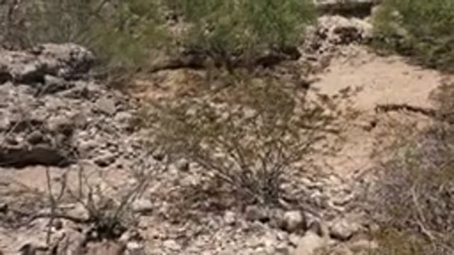 BAJA CALIFORNIA MEXICO-2022: Desert Terrain with Shifting Vantage Point