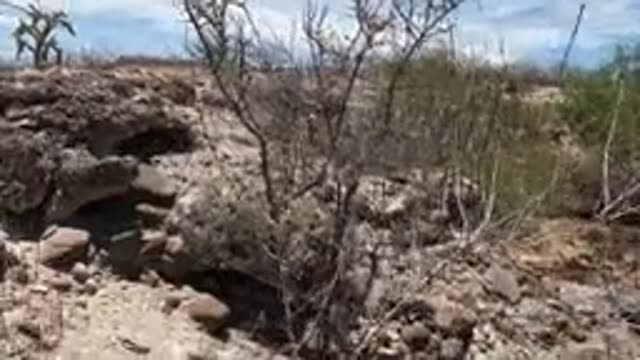 BAJA CALIFORNIA MEXICO-2022: Rocky Desert Landscape with Sparse Vegetation