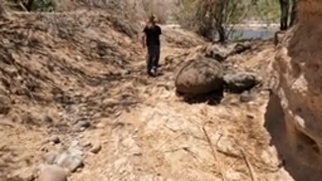 BAJA CALIFORNIA MEXICO-2022: Woman and Dog Walking Along a Dry Riverbed Path