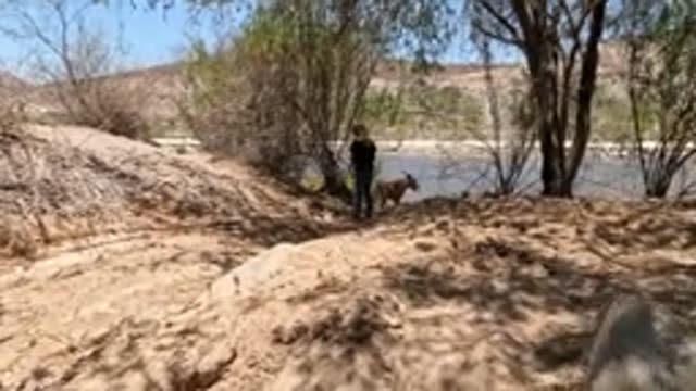 BAJA CALIFORNIA MEXICO-2022: Person Walking Dog Along Desert Riverbank