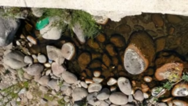 BAJA CALIFORNIA MEXICO-2022: Child Lying on Concrete Ledge Over Shallow Stream