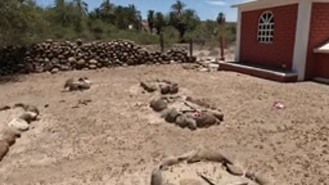 BAJA CALIFORNIA MEXICO-2022: Cemetery with Stone Graves and Small Brick Chapel