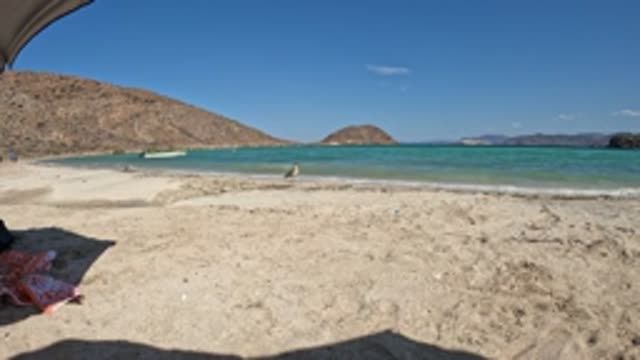 BAJA CALIFORNIA MEXICO-2022: Sandy Beach with Gentle Waves and Swimmers
