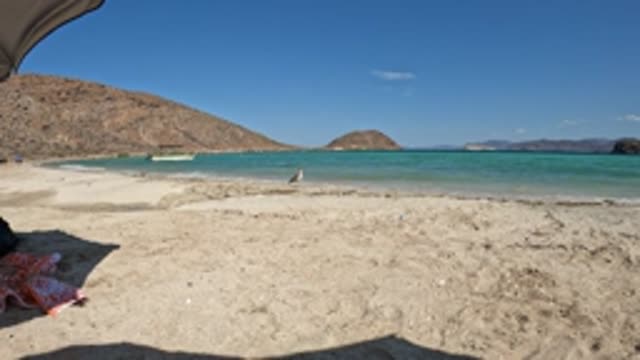 BAJA CALIFORNIA MEXICO-2022: Sandy Beach with Calm Ocean and Moving Boat