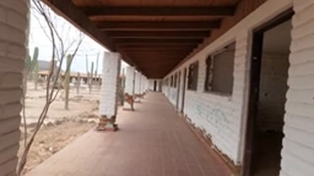 BAJA CALIFORNIA MEXICO-2022: Covered Walkway with White Brick Walls and Cacti