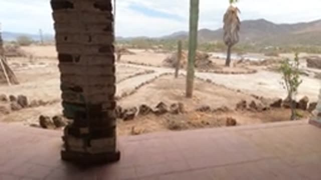 BAJA CALIFORNIA MEXICO-2022: Desert Garden with Cacti and Rock Pathway