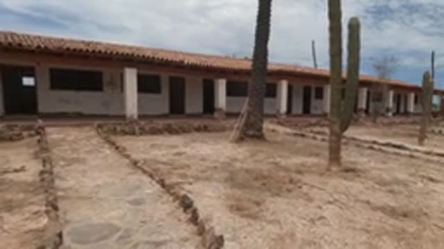 BAJA CALIFORNIA MEXICO-2022: Cacti and Palm Tree in Adobe Building Courtyard