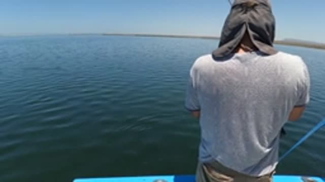 BAJA CALIFORNIA MEXICO-2022: Person Fishing From a Boat on Calm Water