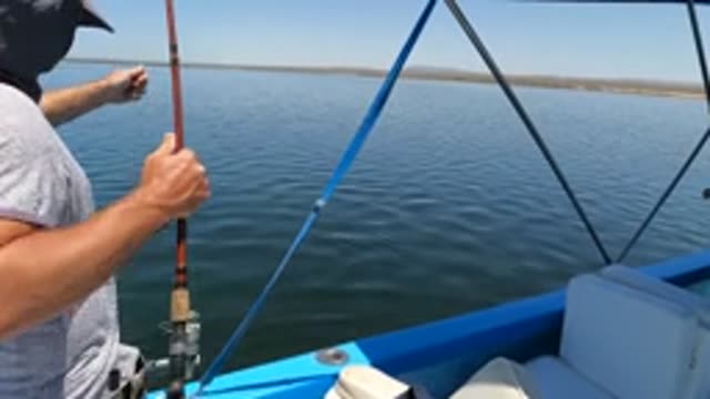 BAJA CALIFORNIA MEXICO-2022: Man Catching Small Fish While Fishing on a Boat