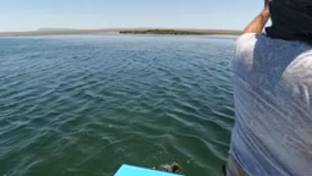 BAJA CALIFORNIA MEXICO-2022: Fishing From a Boat in Calm Waters