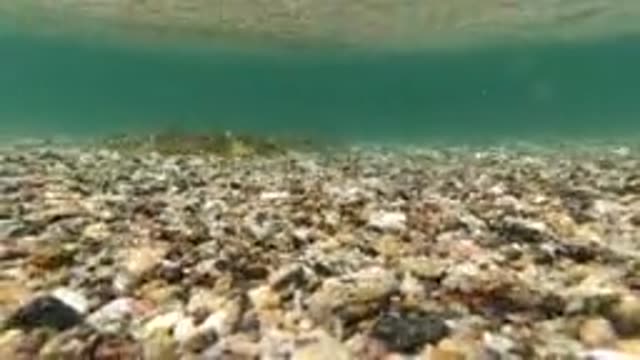 BAJA CALIFORNIA MEXICO-2022: Underwater Pebbled Seabed with Gentle Water Ripples