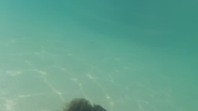 BAJA CALIFORNIA MEXICO-2022: Girl Swimming Underwater and Surfacing in a Pool