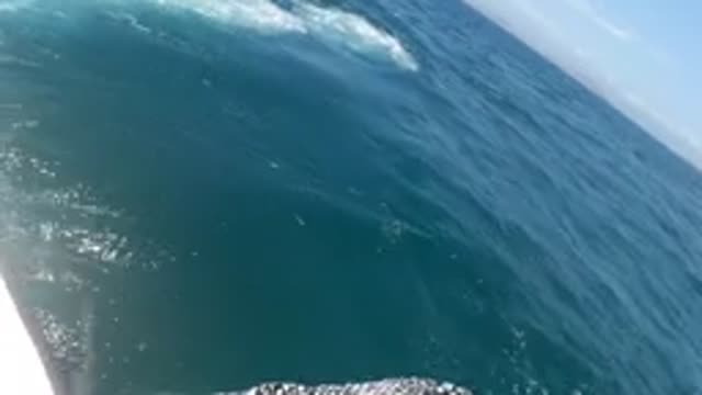 BAJA CALIFORNIA MEXICO-2022: Boat Navigating Ocean Waves with Water Splashes