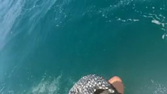 BAJA CALIFORNIA MEXICO-2022: First-Person Boat Ride Over Calm Ocean Waters
