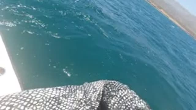 BAJA CALIFORNIA MEXICO-2022: Person's Legs and Boat on Calm Ocean