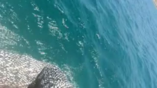 BAJA CALIFORNIA MEXICO-2022: Glistening Ocean Surface by Patterned Pier Structure