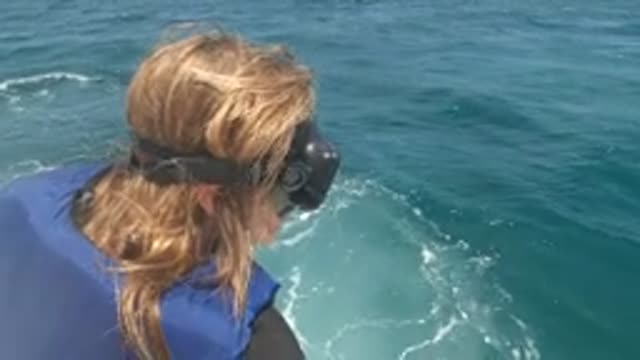 BAJA CALIFORNIA MEXICO-2022: Child in Life Jacket Preparing to Snorkel From Boat