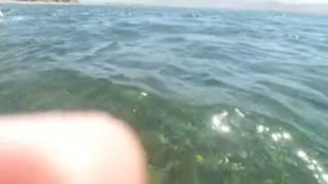 BAJA CALIFORNIA MEXICO-2022: Swimmers Floating in Clear Water Near Boat