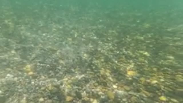 BAJA CALIFORNIA MEXICO-2022: Underwater View of a Pebbled Riverbed with Gentle Current